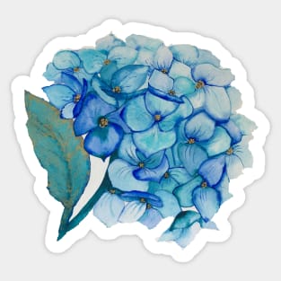 HydrangeaBlue Sticker